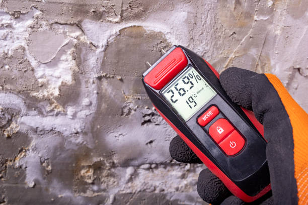 Best Mold Remediation for Specific Building Types in Orangetree, FL