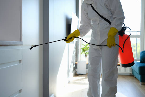 Best Residential Mold Remediation in Orangetree, FL